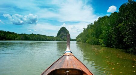 The Impact of Global Health Crises on Travel Insurance