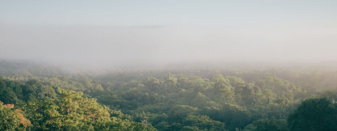 Travel Sustainability 2.0: Shifting Beyond Carbon Offsets