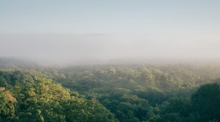 Travel Sustainability 2.0: Shifting Beyond Carbon Offsets