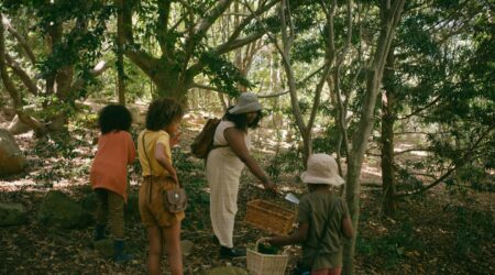 Sustainability Initiatives