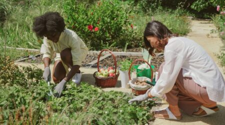 Sustainable Community Gardens